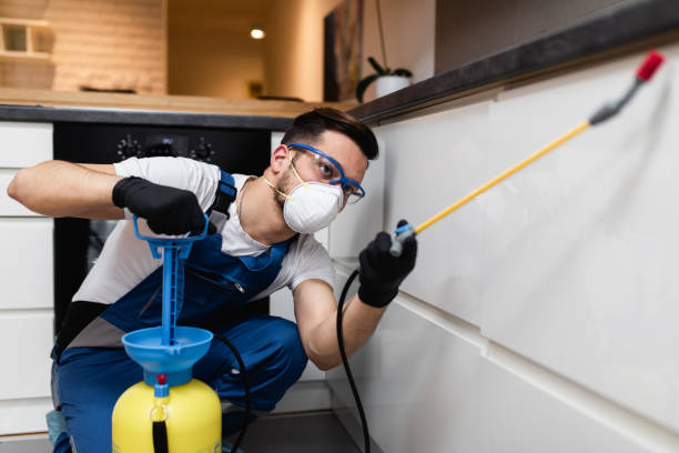 Best Best Pest Control Companies  in Mcdade, TX