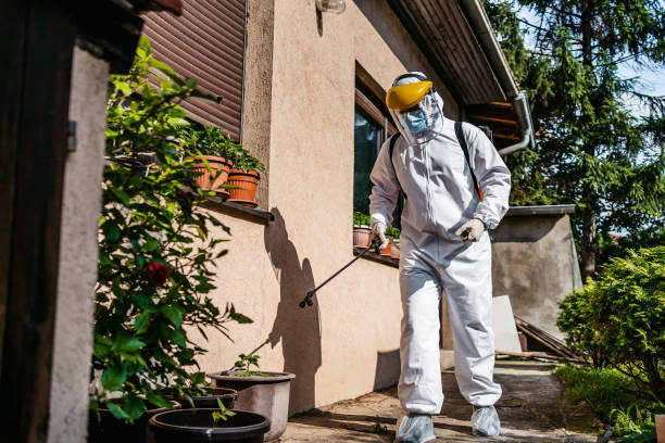 Flea Control Services in Mcdade, TX