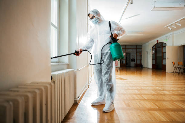 Best Rat Extermination Near Me  in Mcdade, TX